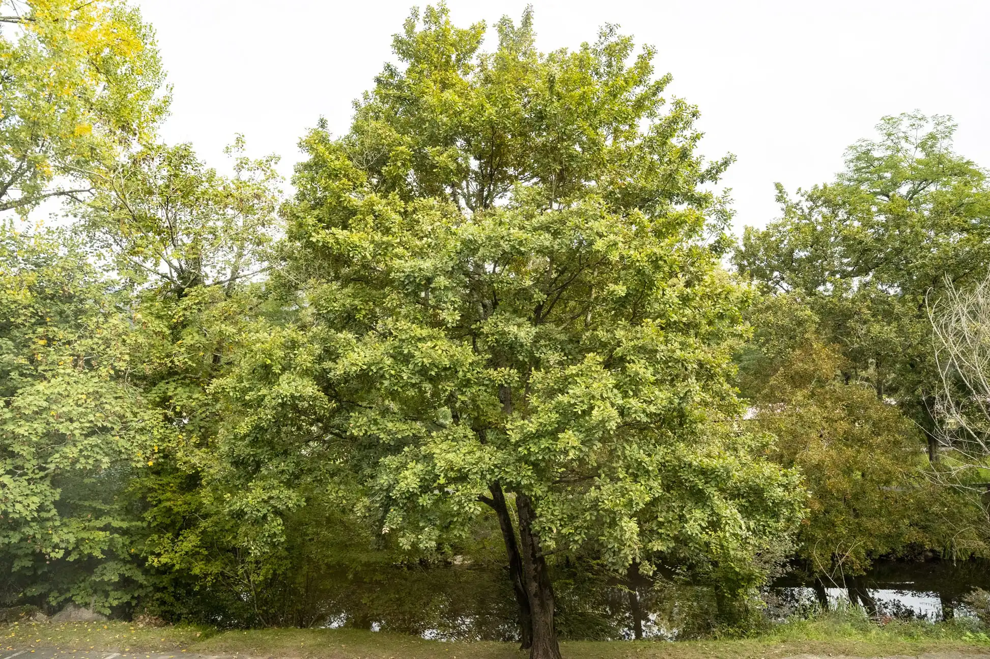 Experiencias y Ofertas